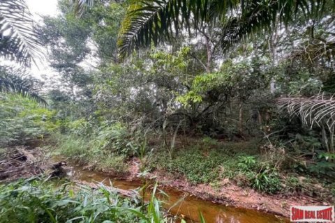 Land in Phang Nga, Thailand No. 96377 3