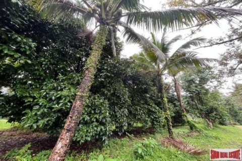 Land in Phang Nga, Thailand No. 96377 4