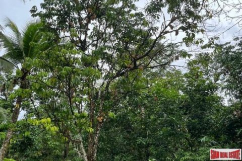 Land in Phang Nga, Thailand No. 96377 8