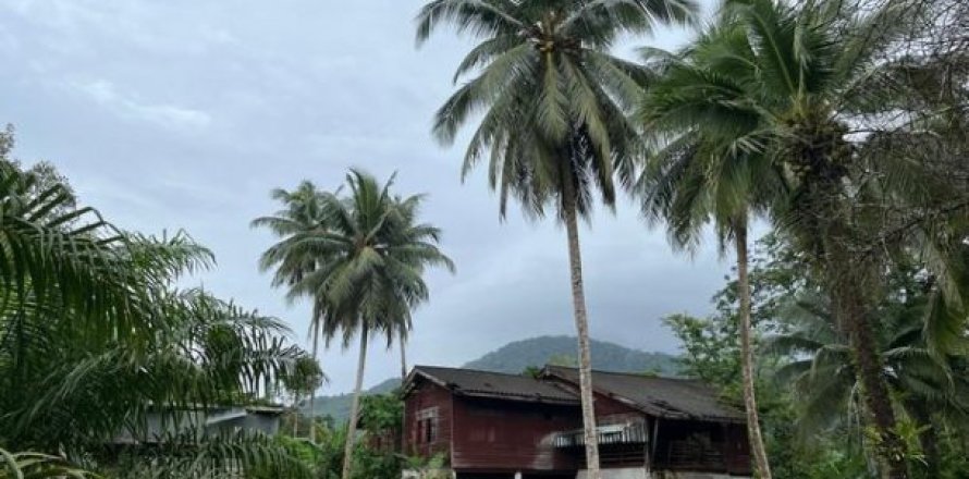 Land in Phang Nga, Thailand No. 96377