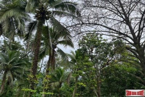 Land in Phang Nga, Thailand No. 96377 9