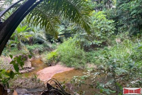 Land in Phang Nga, Thailand No. 96377 15