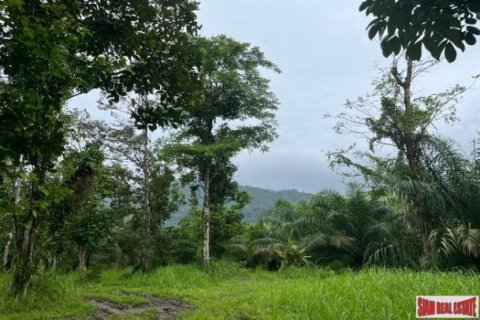 Land in Phang Nga, Thailand No. 96377 17