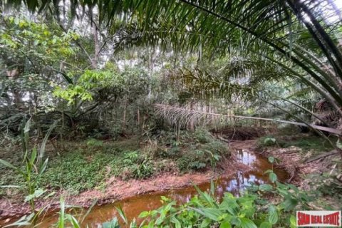 Land in Phang Nga, Thailand No. 96377 16