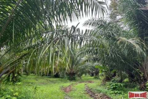 Land in Phang Nga, Thailand No. 96377 5