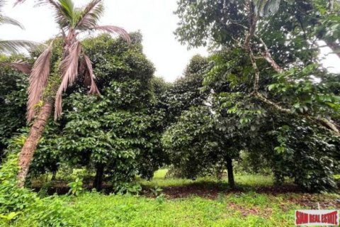 Land in Phang Nga, Thailand No. 96377 11