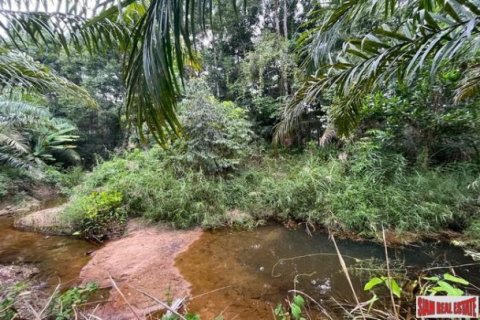 Land in Phang Nga, Thailand No. 96377 2