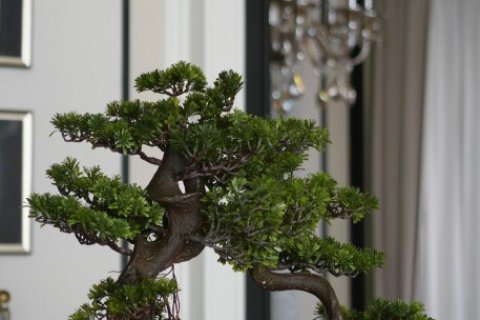 110m² Apartment in Bangkok, Thailand No. 97288 11