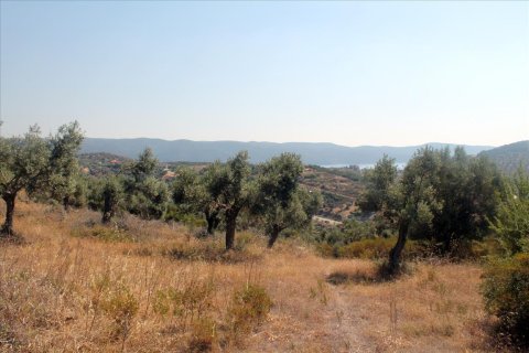 10000m² Land à Chalkidiki, Greece No. 60216 7