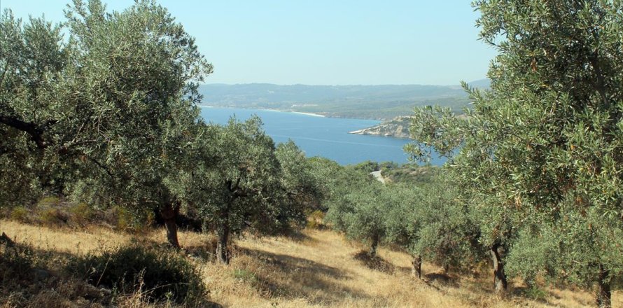 10000m² Land à Chalkidiki, Greece No. 60216