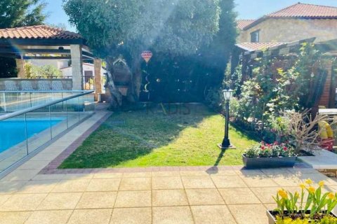 5 chambres Villa à Souni–Zanatzia, Cyprus No. 73064 14