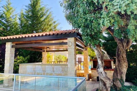 5 chambres Villa à Souni–Zanatzia, Cyprus No. 73064 10
