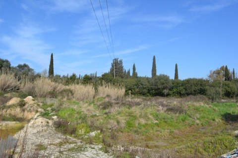 24000m² Land in Corfu, Greece No. 59810 4