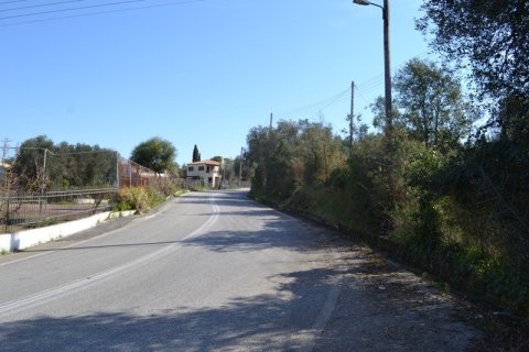 24000m² Land in Corfu, Greece No. 59810 5