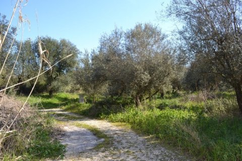 24000m² Land in Corfu, Greece No. 59810 2