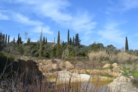24000m² Land in Corfu, Greece No. 59810 6