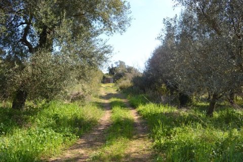24000m² Land in Corfu, Greece No. 59810 1