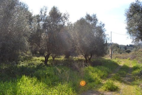 24000m² Land in Corfu, Greece No. 59810 3