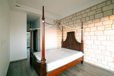 4 chambres Villa à Paphos, Cyprus No. 83086 13