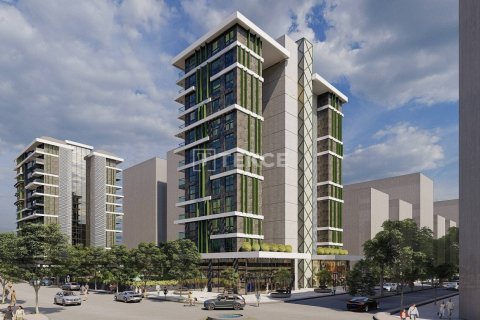 2 bedrooms Apartment in Chau Lang, Vietnam No. 11018 22