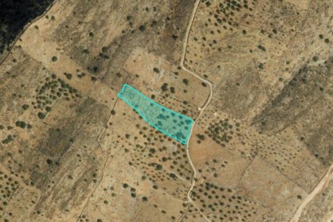 5826m² Land in Agios Nikolaos, Greece No. 54306 5