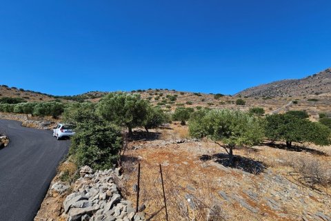 5826m² Land in Agios Nikolaos, Greece No. 54306 3