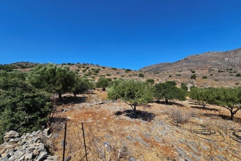 5826m² Land in Agios Nikolaos, Greece No. 54306 4