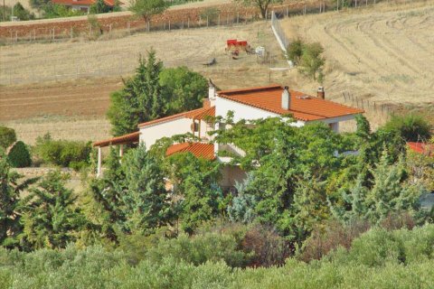 Дом с 8 комнатами в Полийирос, Греция №60589 1