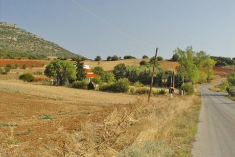 Дом с 8 комнатами в Полийирос, Греция №60589 7