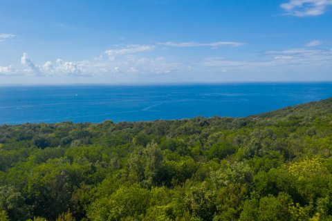 5006m² Land in Kotor, Montenegro No. 67027 2