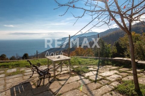 5 bedrooms House in Mouresi, Greece No. 27988 8