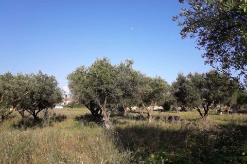 Land in Zakynthos, Greece No. 28100 5