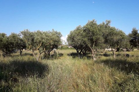 Land in Zakynthos, Greece No. 28100 10