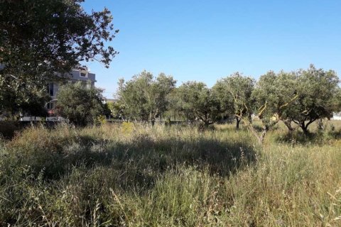Land in Zakynthos, Greece No. 28100 7