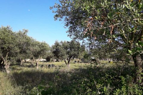 Land in Zakynthos, Greece No. 28100 6