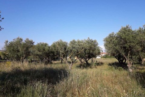 Land in Zakynthos, Greece No. 28100 20