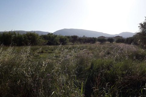 Land in Zakynthos, Greece No. 28100 13