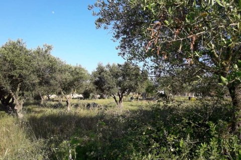 Land in Zakynthos, Greece No. 28100 4