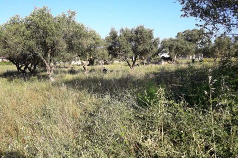 Land in Zakynthos, Greece No. 28100 11