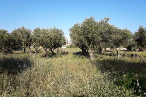 Land in Zakynthos, Greece No. 28100 19