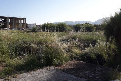 Land in Zakynthos, Greece No. 28100 3