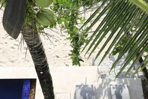 3 bedrooms Villa in Phuket, Thailand No. 3122 29