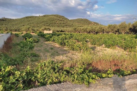 Land in Zakynthos, Greece No. 69515 6