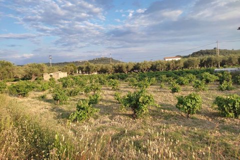 Land in Zakynthos, Greece No. 69515 5