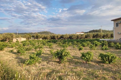 Land in Zakynthos, Greece No. 69515 4