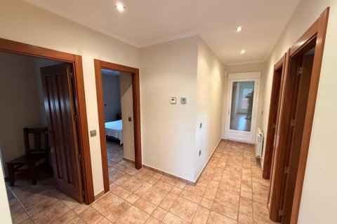 7 bedrooms Apartment in Giao Nhan, Vietnam No. 92238 15