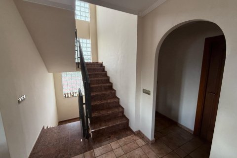 7 bedrooms Apartment in Giao Nhan, Vietnam No. 92238 13