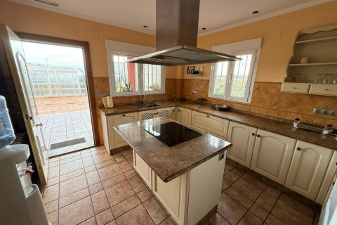 7 bedrooms Apartment in Giao Nhan, Vietnam No. 92238 9