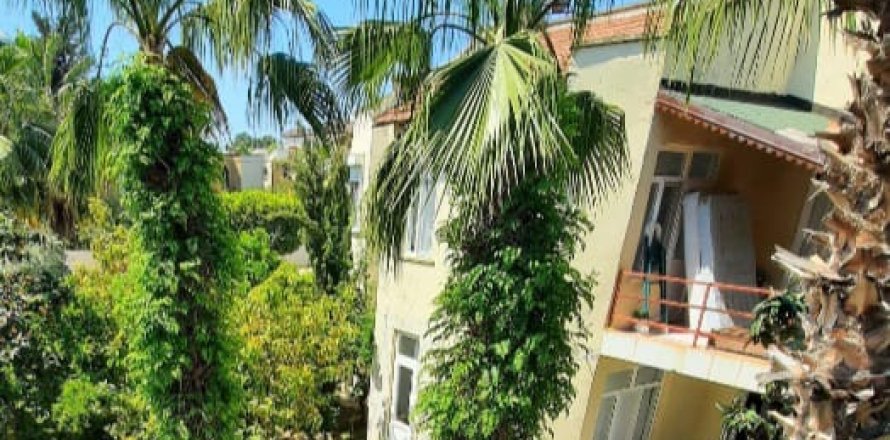 2 bedrooms Villa in Co Do, Vietnam No. 14178