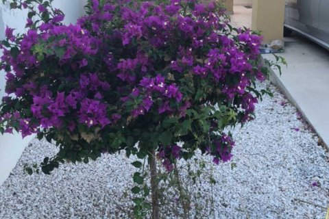 3 dormitorios House en Konia, Cyprus No. 76831 6